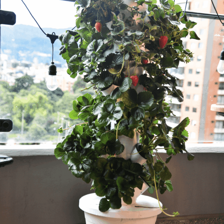 hydrocelcol-fgaleria002_Mesa de trabajo 1