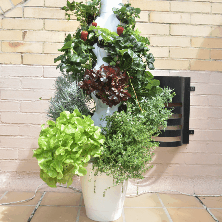 hydrocelcol-fgaleria004_Mesa de trabajo 1